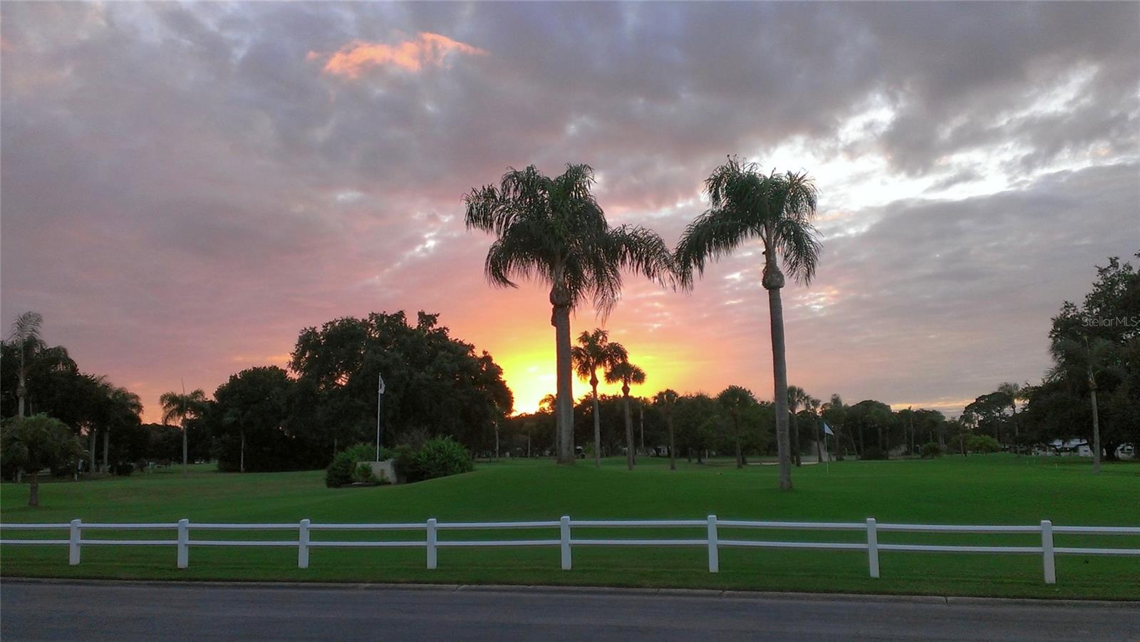 Listing photo id 43 for 1100 Belcher Road S 298