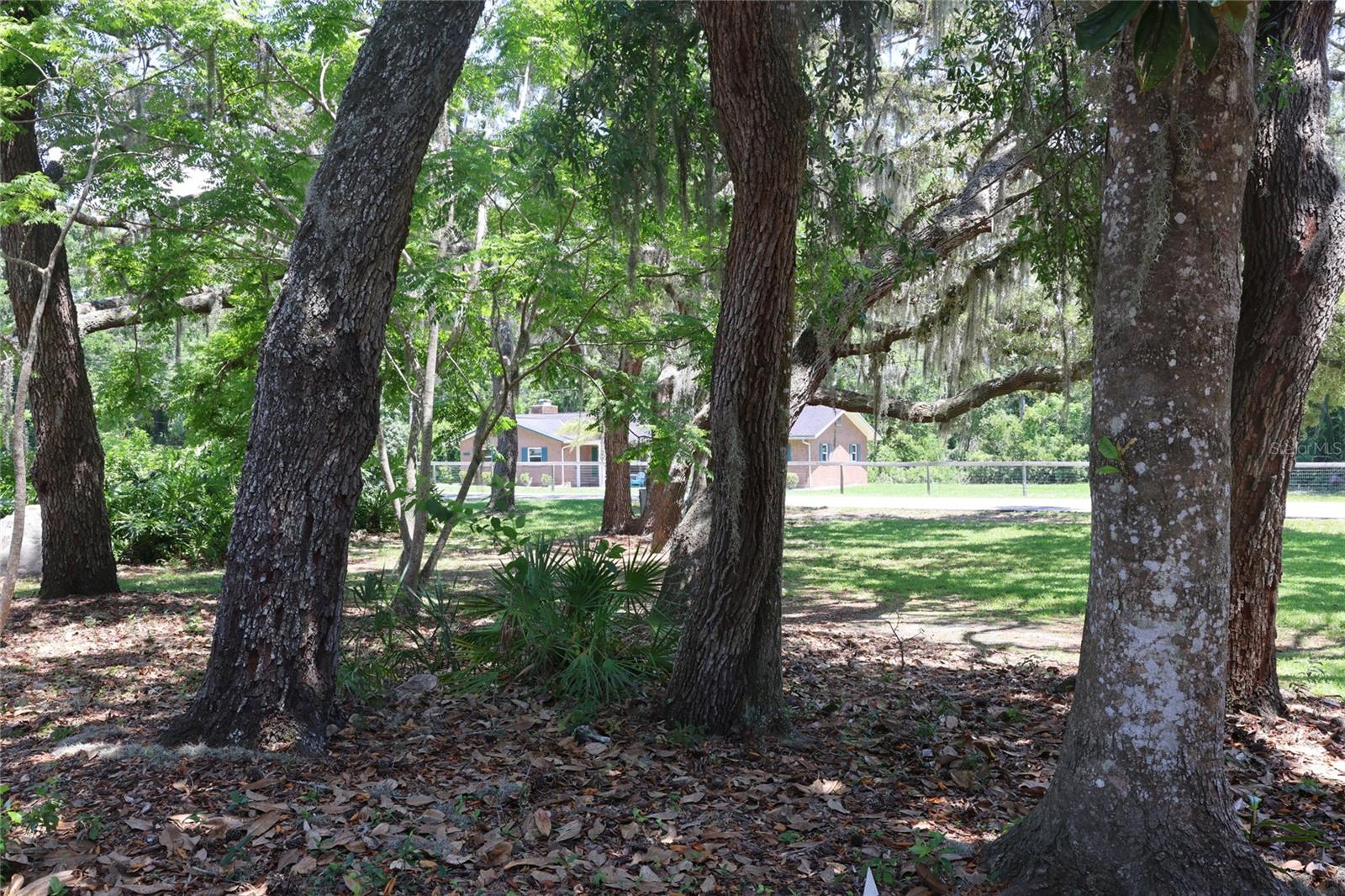 Listing photo id 40 for 12929 Sugar Creek Boulevard