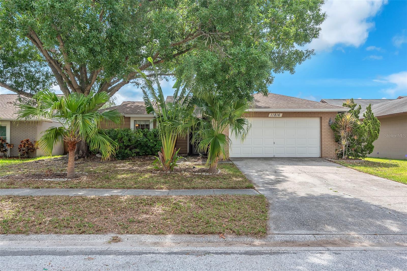 Details for 11816 Cedarfield Drive, RIVERVIEW, FL 33579