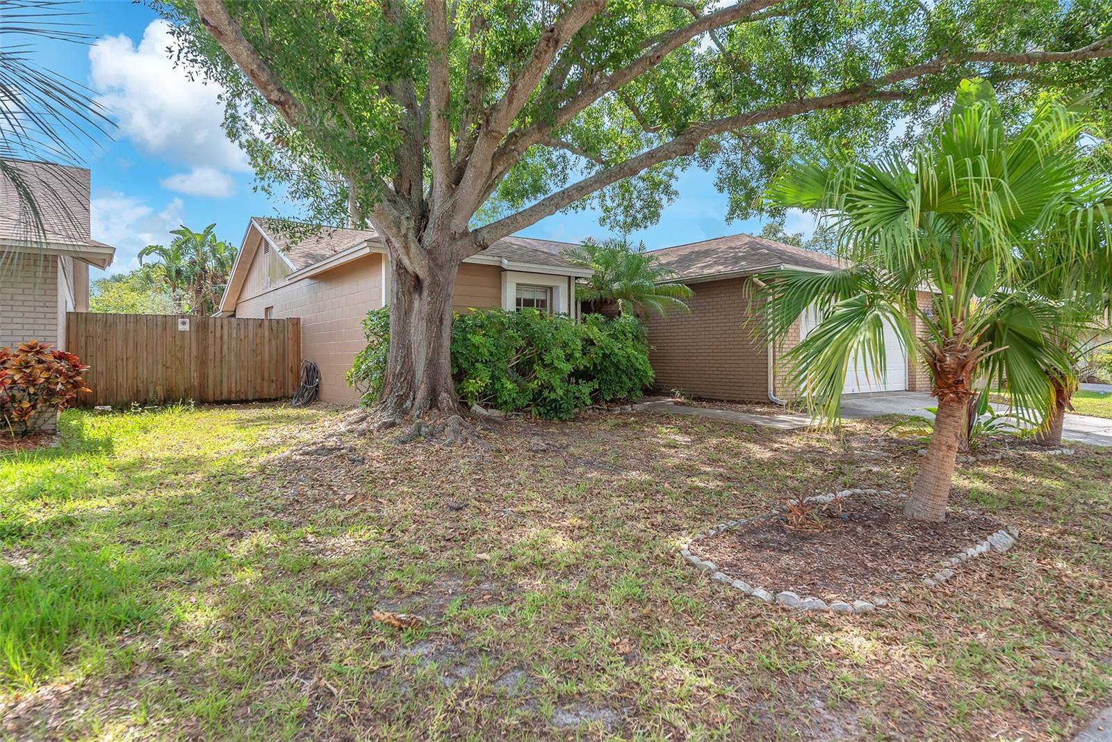 Listing photo id 19 for 11816 Cedarfield Drive