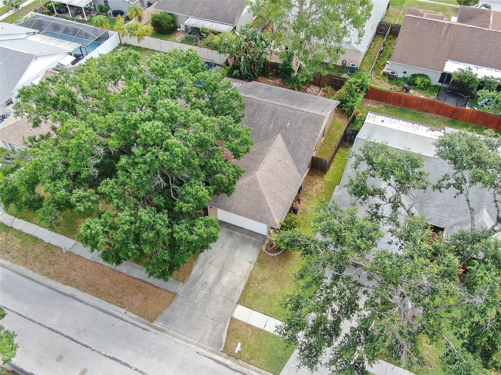 Listing photo id 22 for 11816 Cedarfield Drive