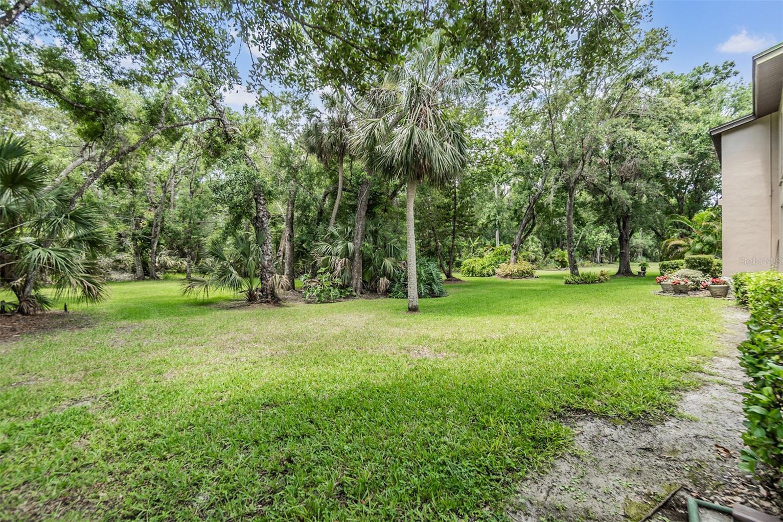 Image 24 of 37 For 1400 Tarpon Woods Boulevard E4