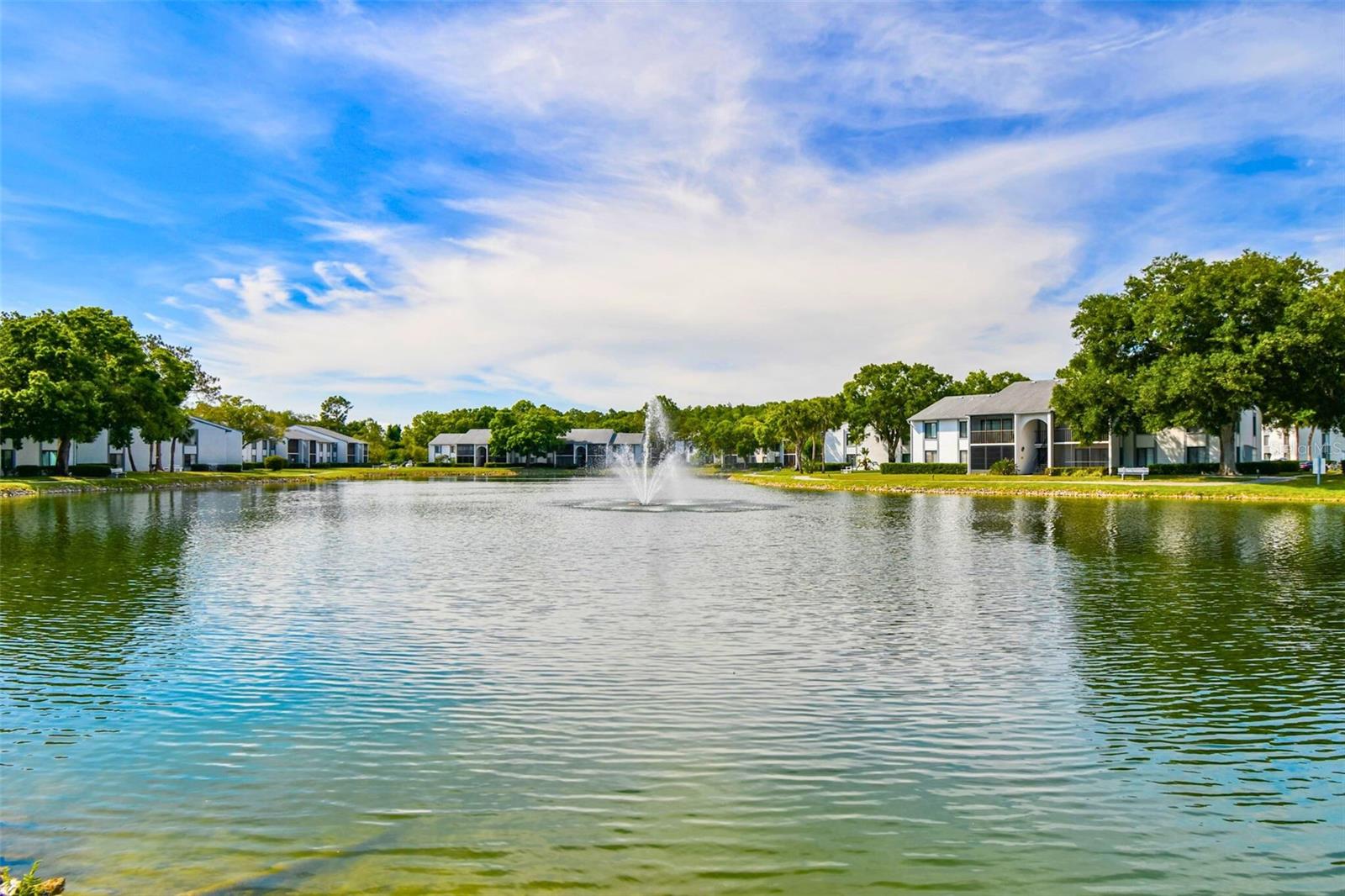 Details for 1109 Pine Ridge Circle W C1, TARPON SPRINGS, FL 34688