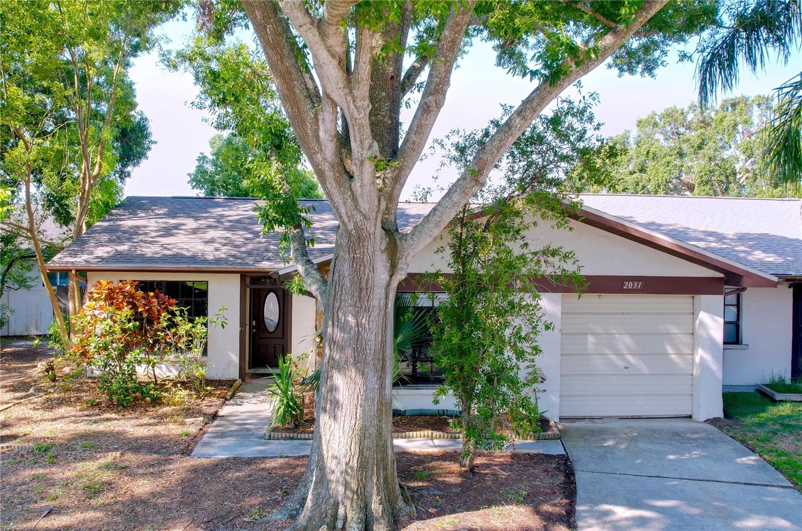 Details for 2031 Dover Court, OLDSMAR, FL 34677