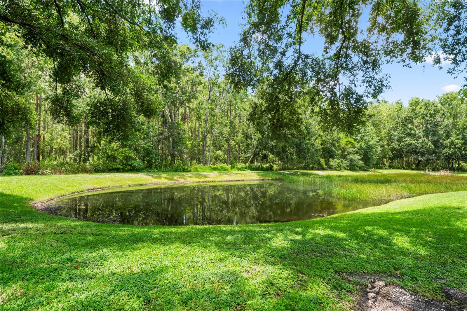 Image 24 of 29 For 5532 Carrollwood Key Drive