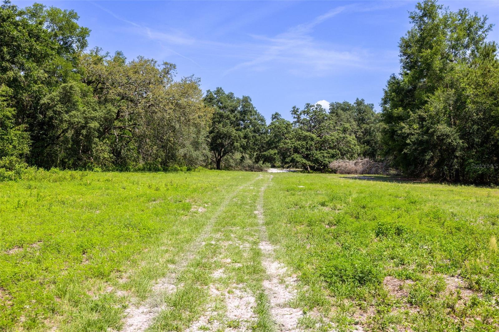 Listing photo id 37 for 21455 Us Hwy 98