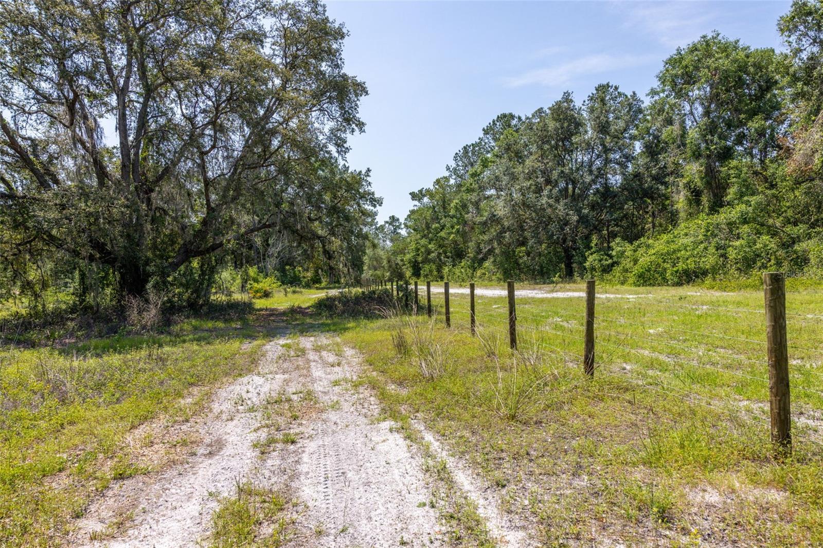 Listing photo id 39 for 21455 Us Hwy 98