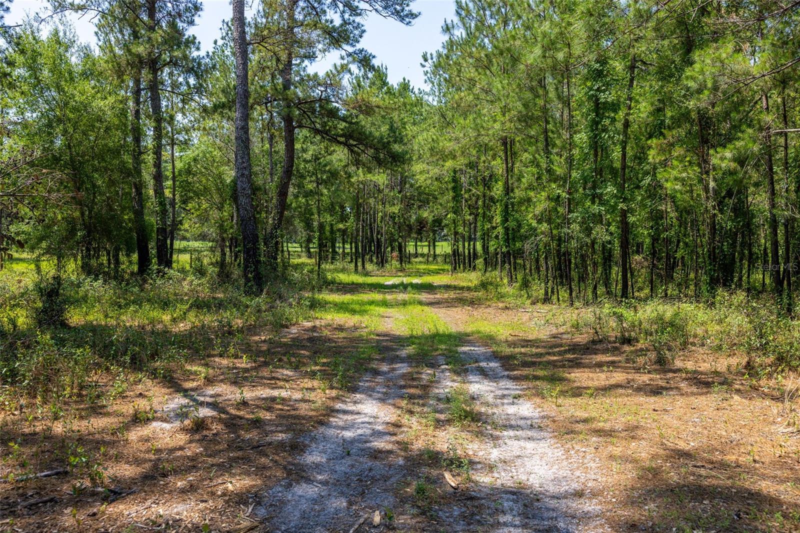 Listing photo id 62 for 21455 Us Hwy 98