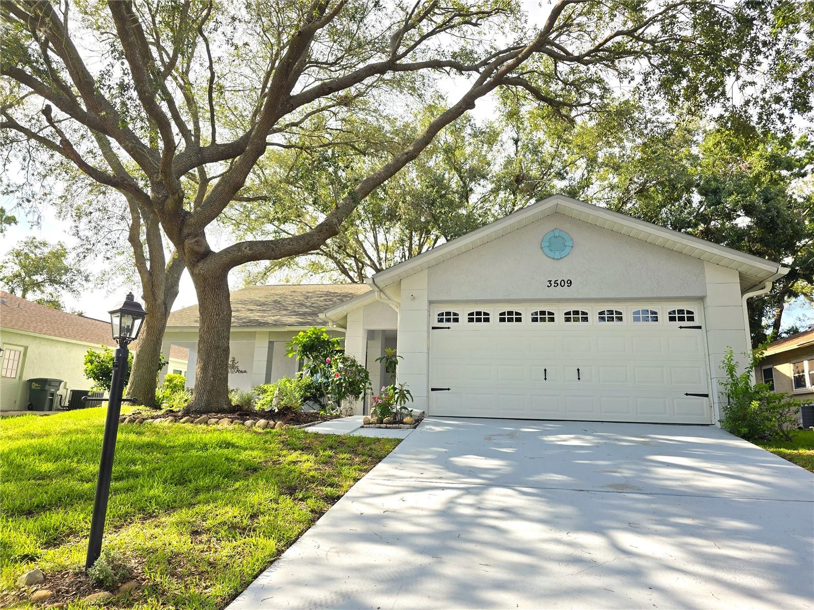 Details for 3509 Oak Lake Drive, PALM HARBOR, FL 34684