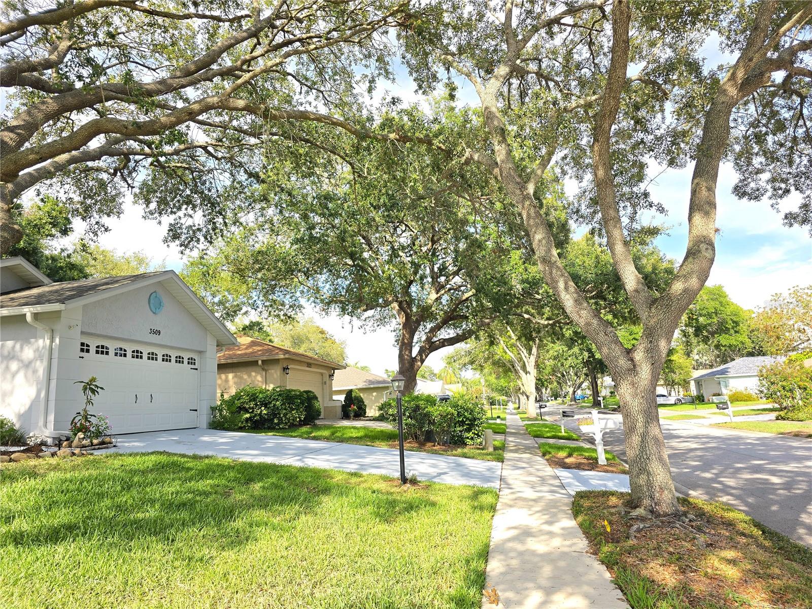 Listing photo id 30 for 3509 Oak Lake Drive