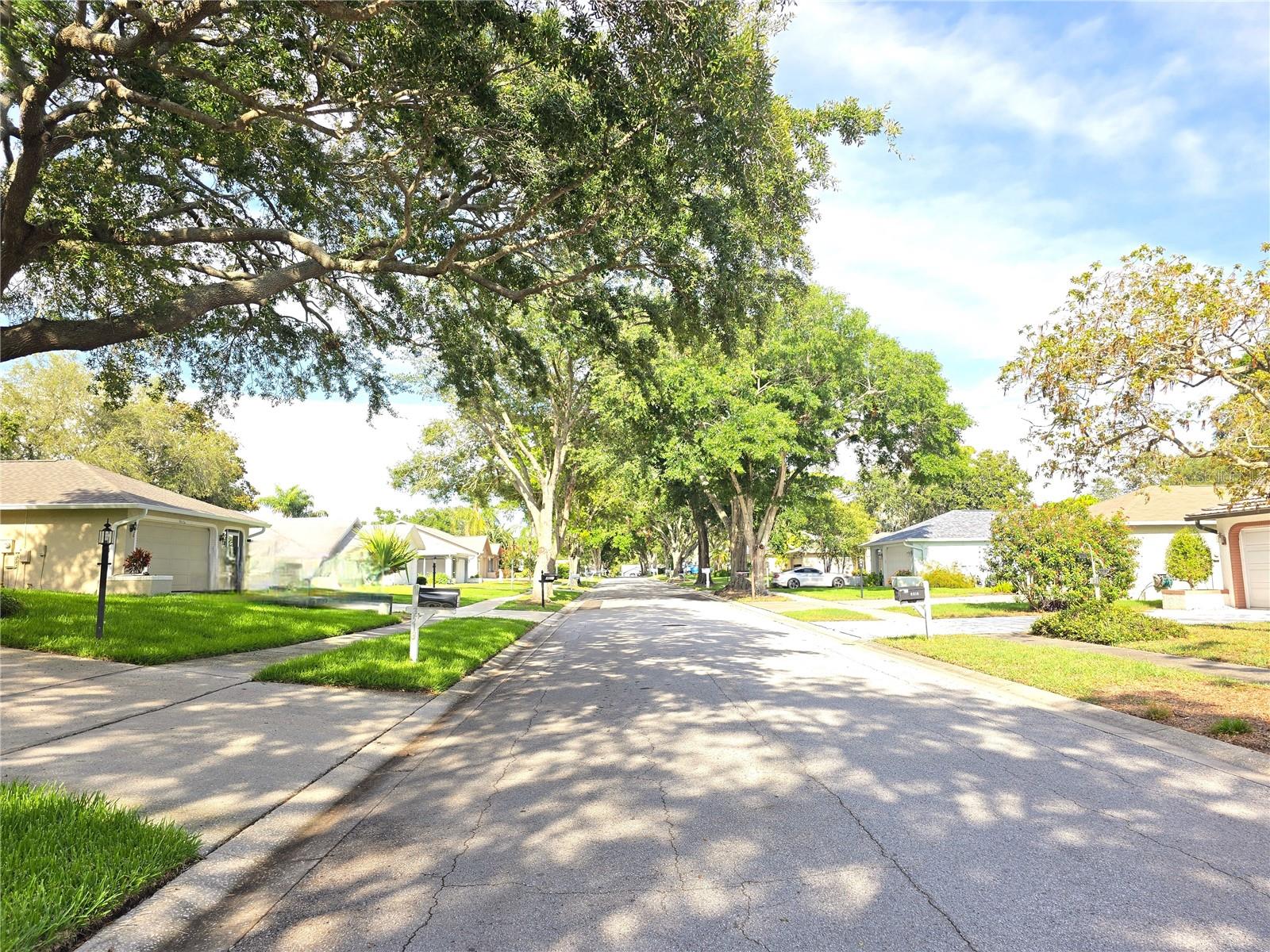 Listing photo id 31 for 3509 Oak Lake Drive