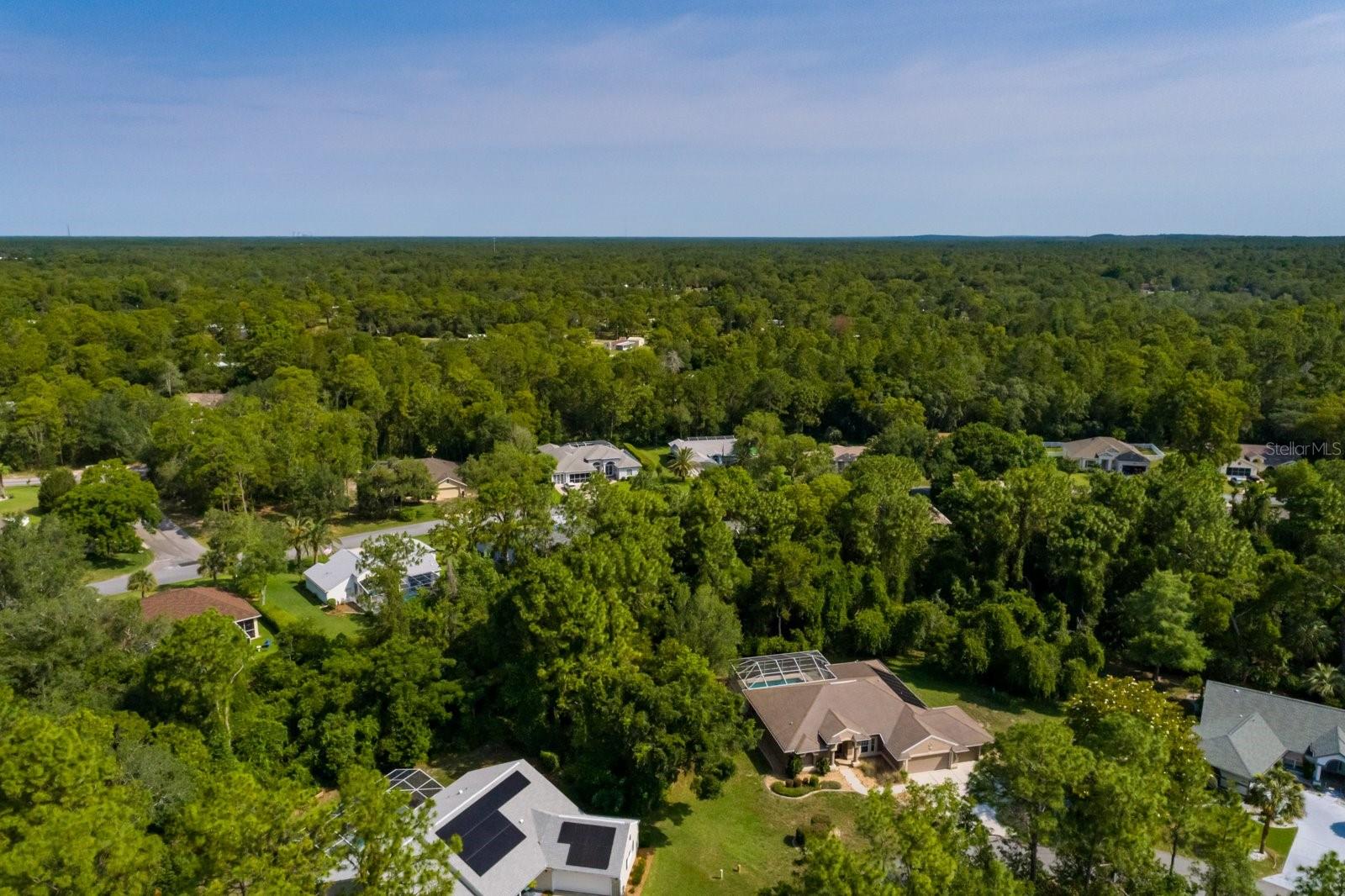 Listing photo id 56 for 16 Dahoon Court N