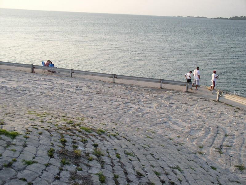 Image 30 of 37 For 2700 Bayshore Boulevard 497