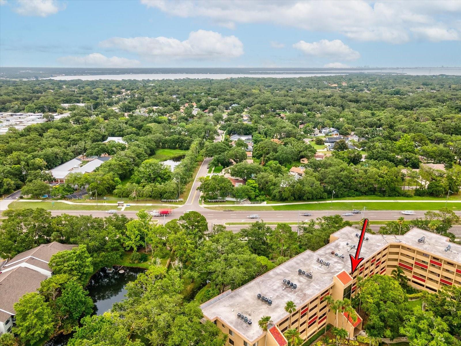Image 57 of 72 For 3062 Eastland Boulevard 405