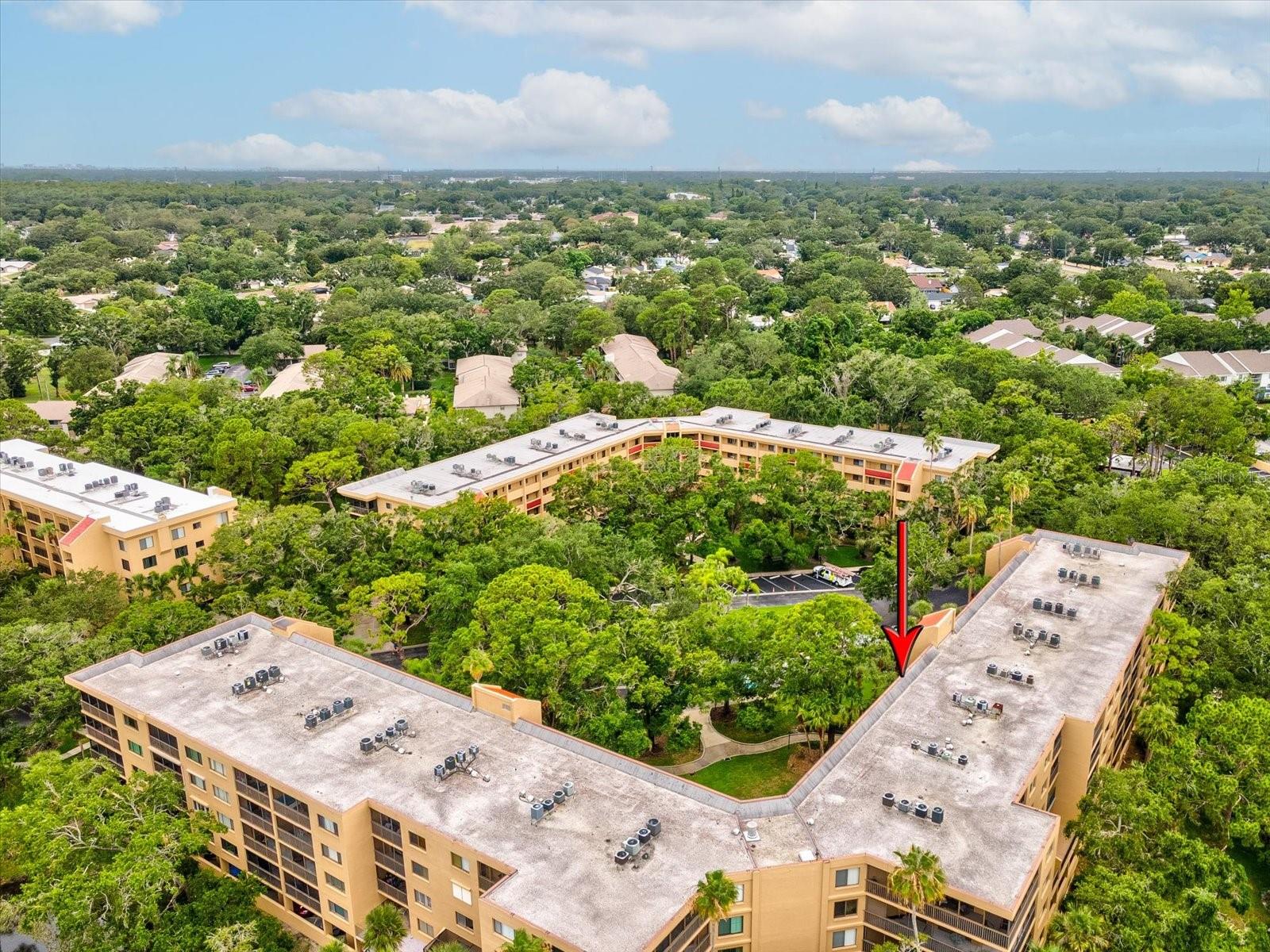 Image 62 of 72 For 3062 Eastland Boulevard 405
