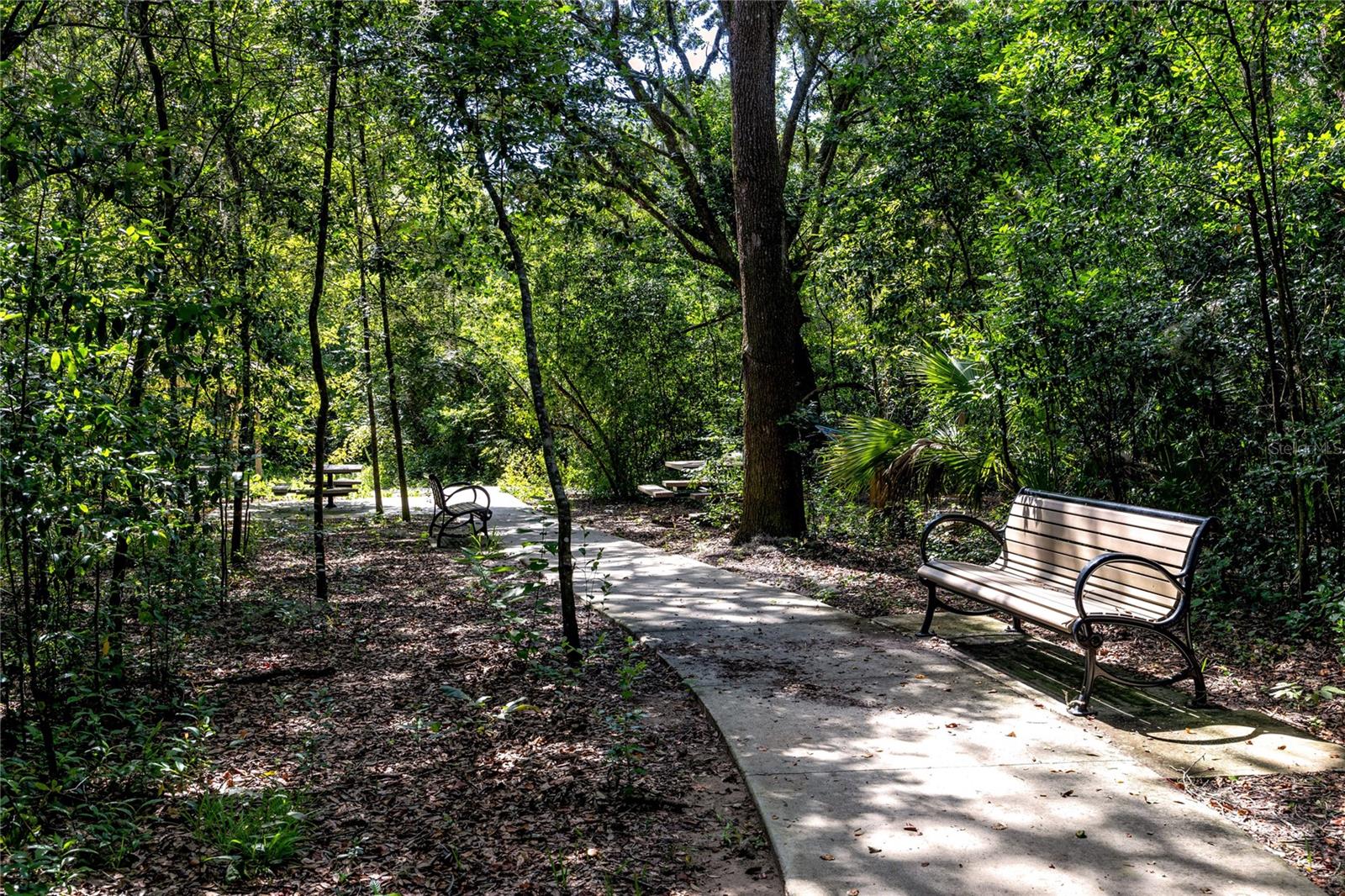 Image 48 of 52 For 7034 Emerald Spring Loop