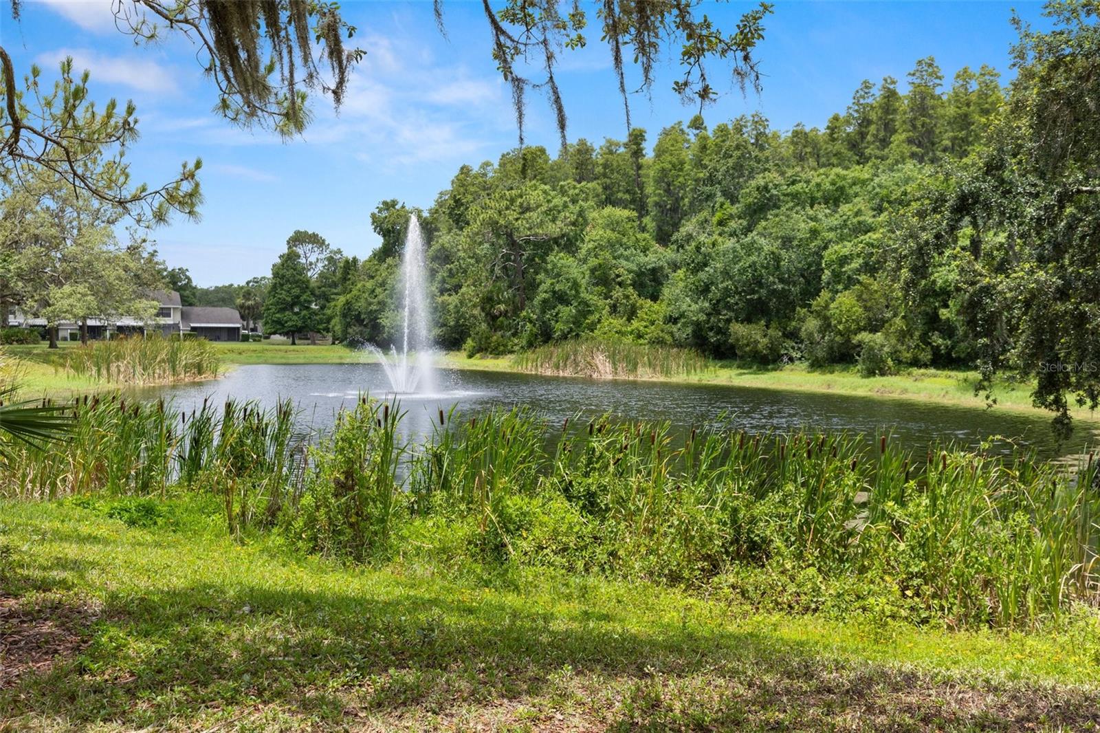 Image 29 of 42 For 5100 Burchette Road 2702