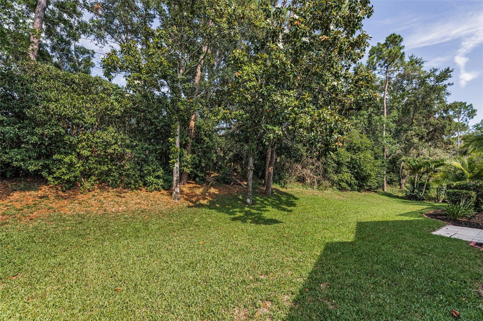 Image 54 of 100 For 4133 Auston Way