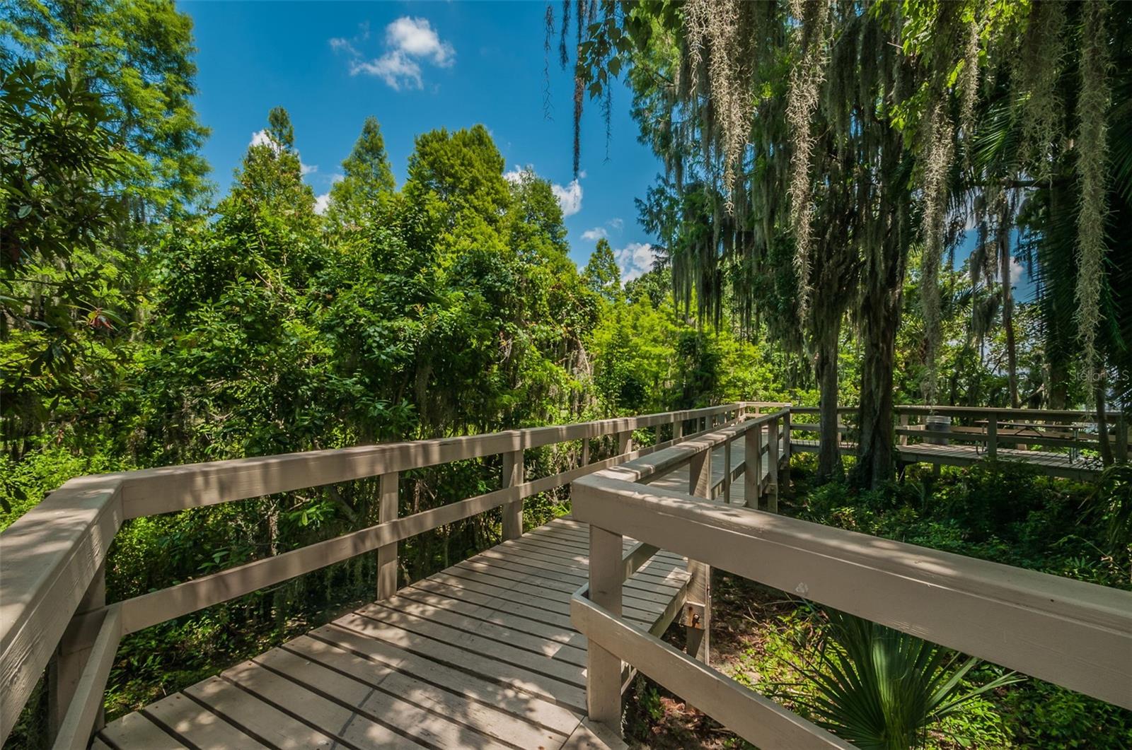 Image 87 of 100 For 4133 Auston Way