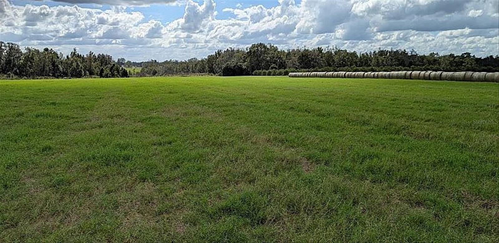 Details for 0 Amberlea  , DADE CITY, FL 33523