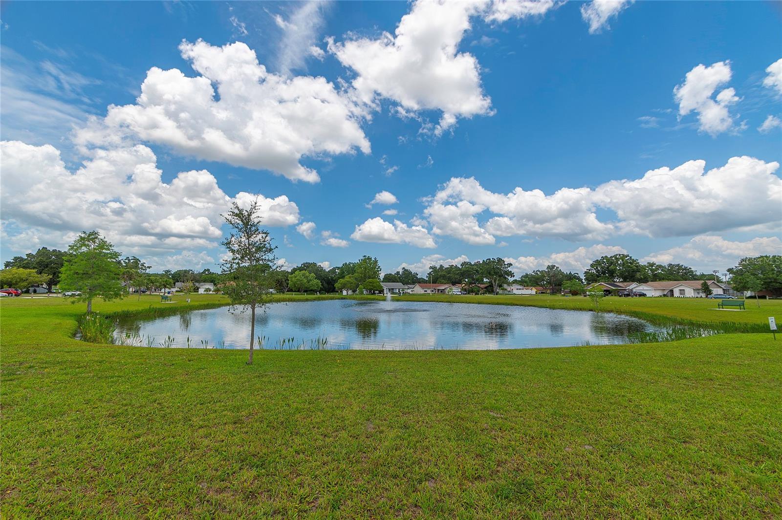 Listing photo id 22 for 9831 83rd Way