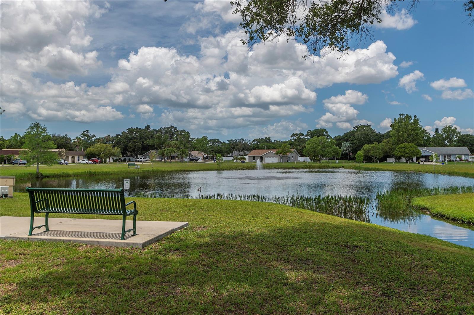 Listing photo id 23 for 9831 83rd Way