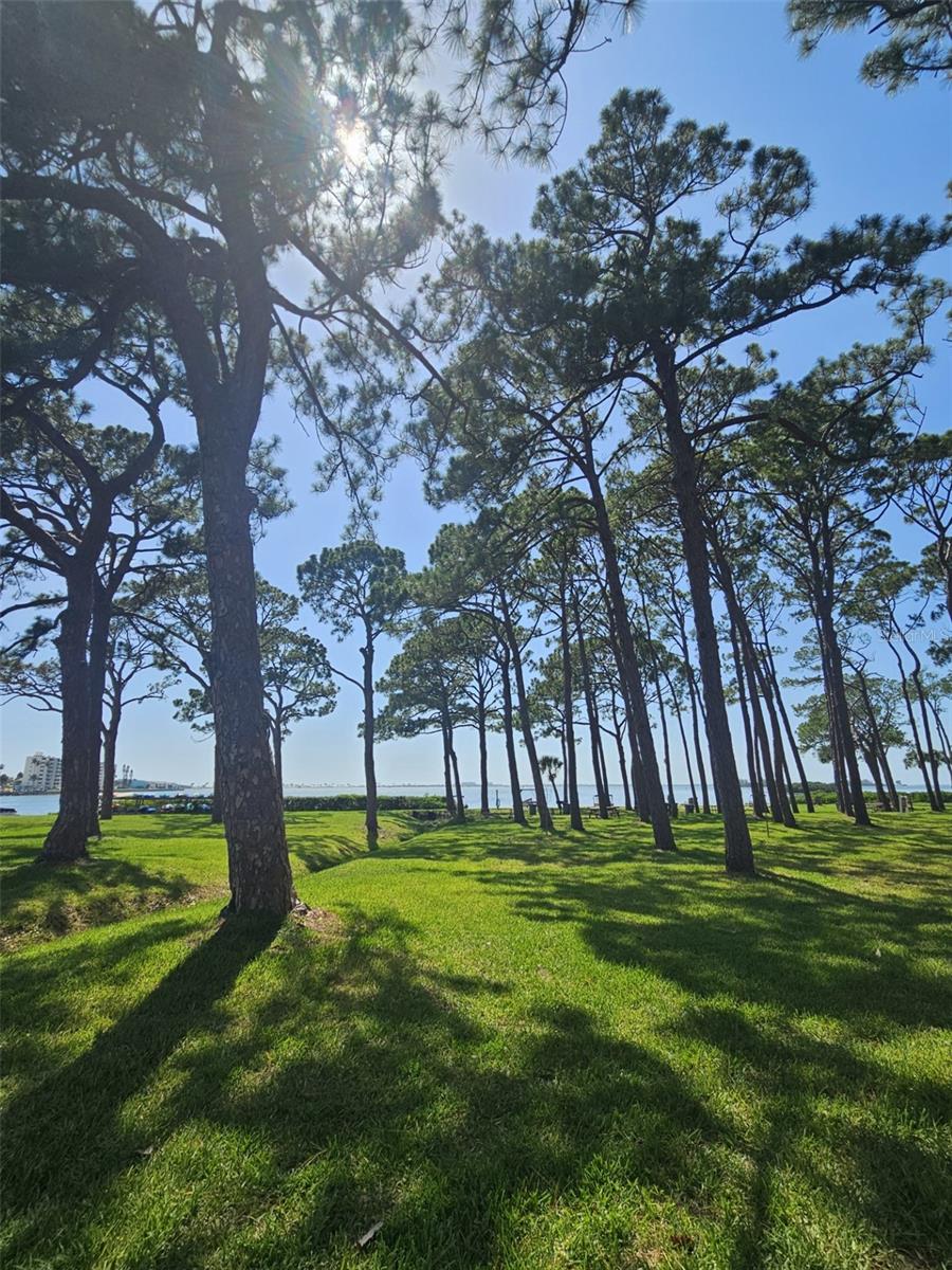 Image 31 of 36 For 2700 Bayshore Boulevard 2b