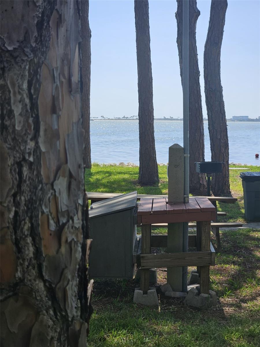 Image 34 of 36 For 2700 Bayshore Boulevard 2b