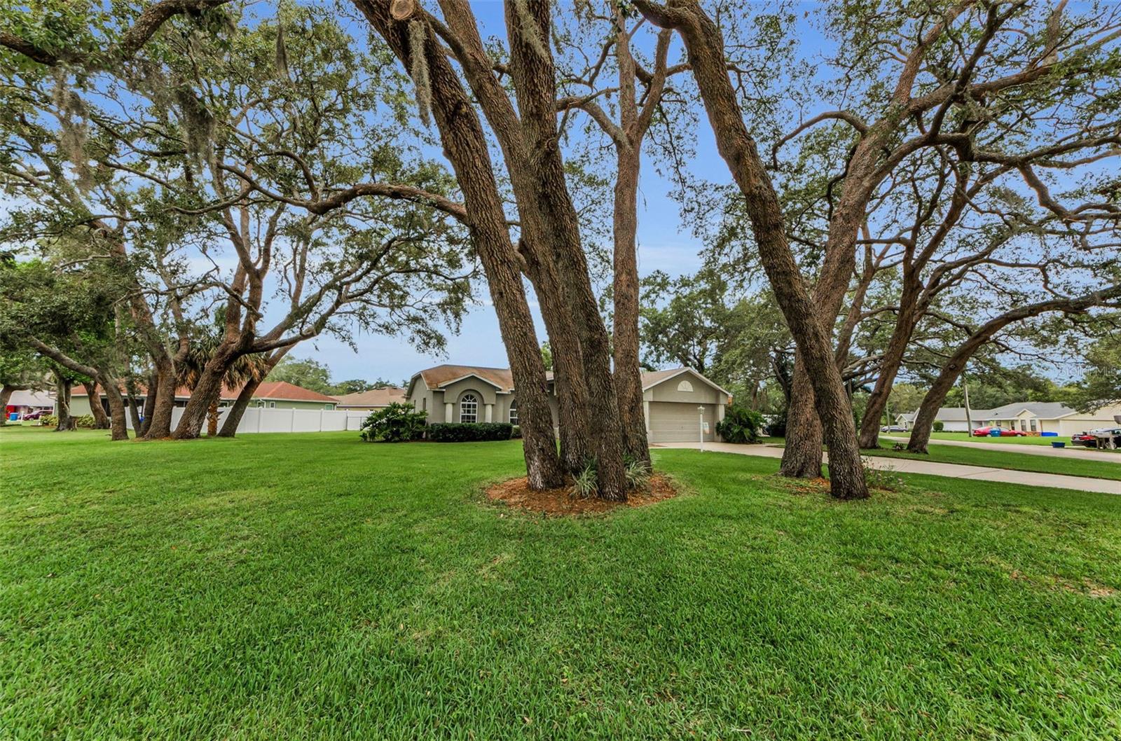 Image 44 of 48 For 8060 Timberlake Avenue