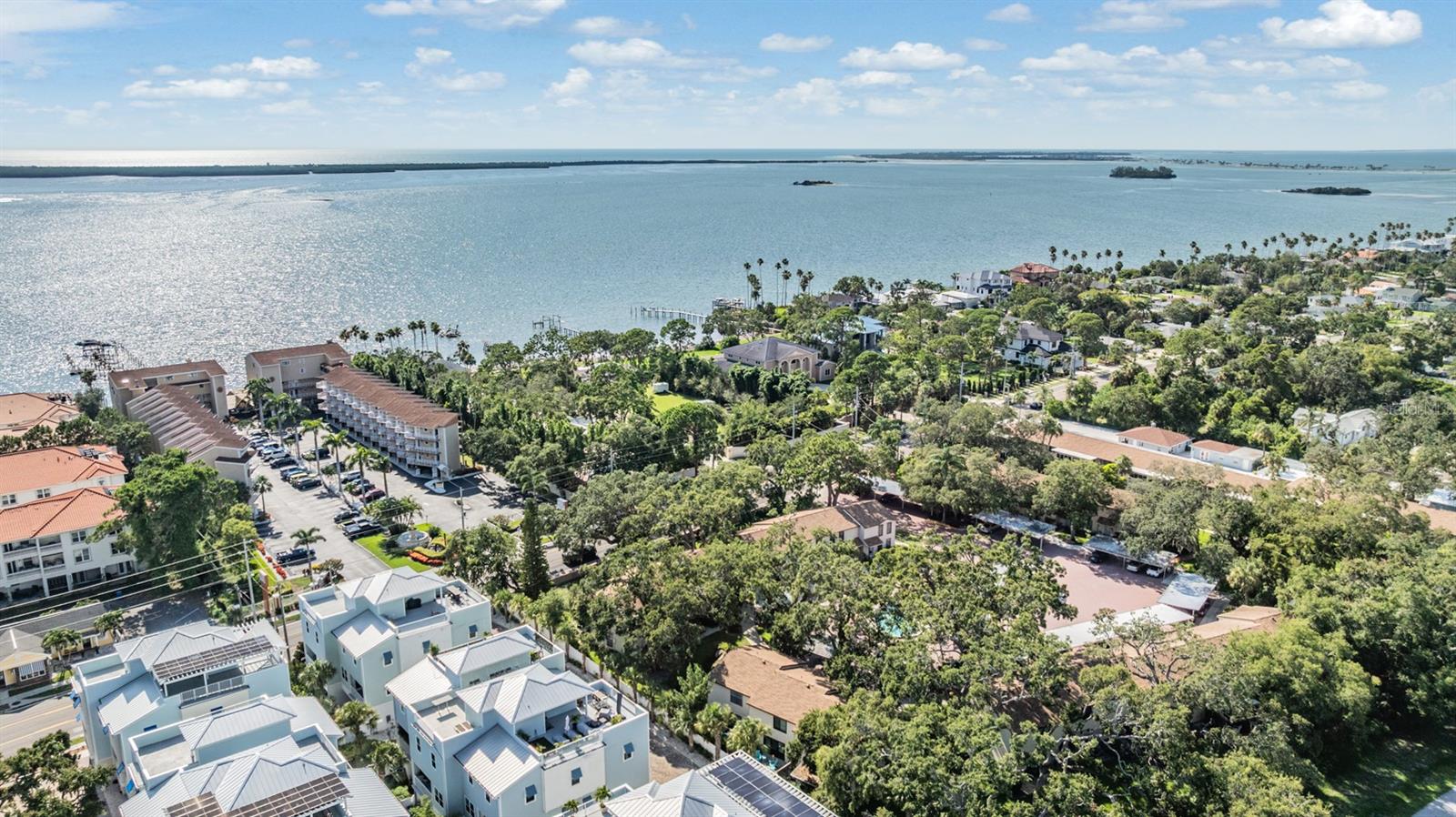 Image 25 of 27 For 1515 Bayshore Boulevard 38