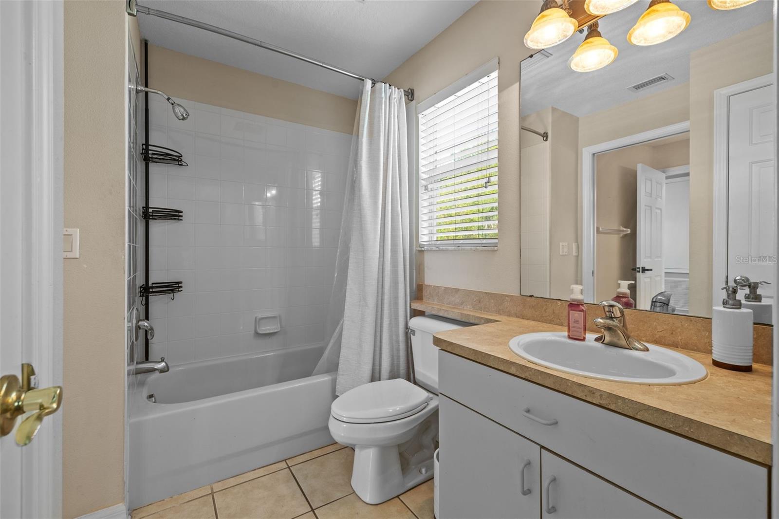Image 17 of 30 For 10646 Cory Lake Drive