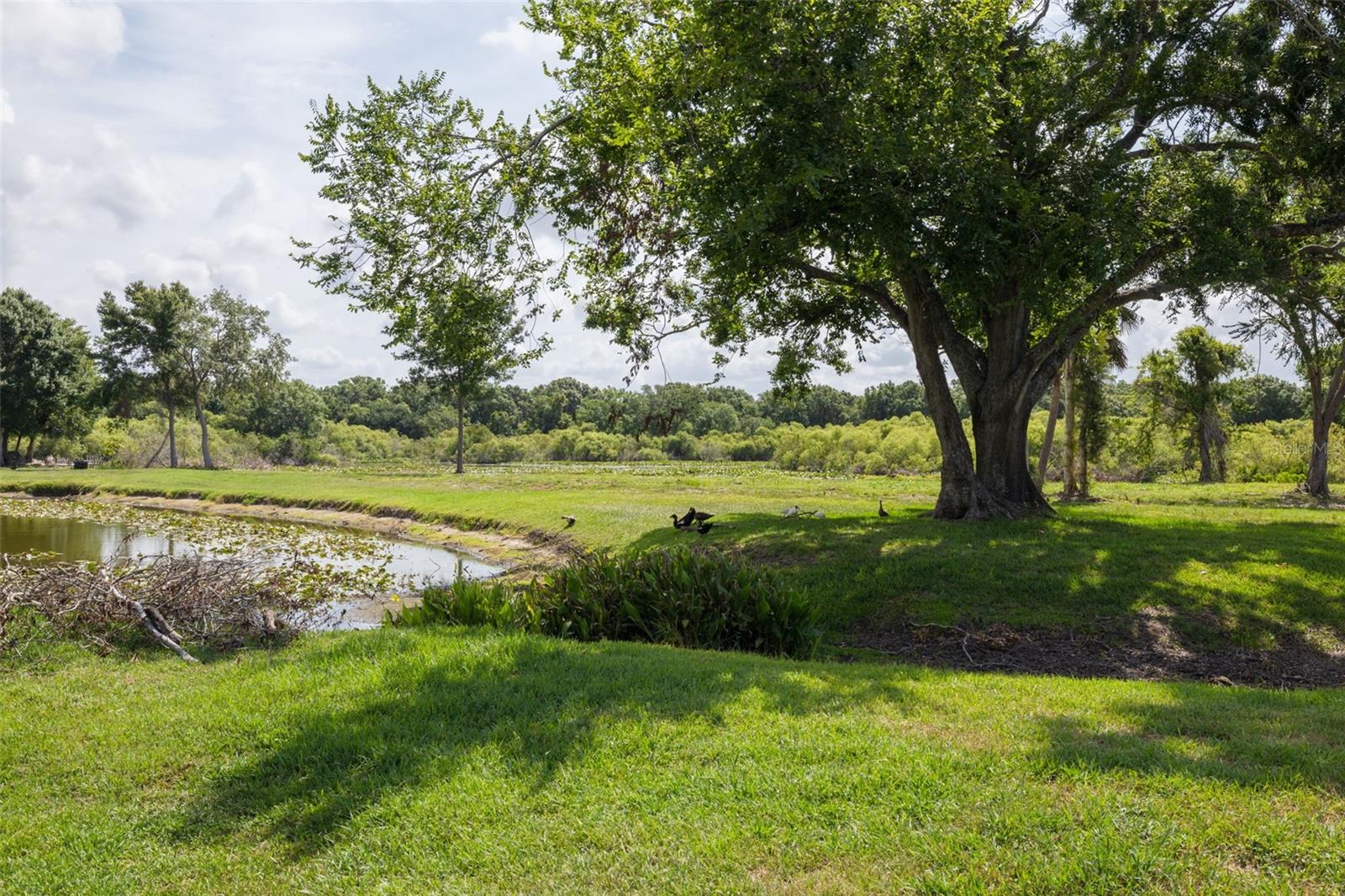 Image 38 of 44 For 7157 Hamilton Park Boulevard