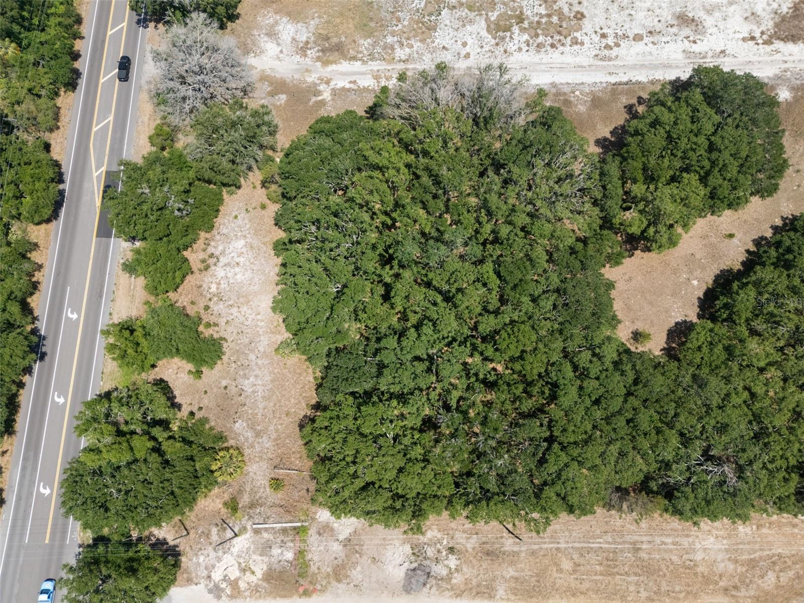 Image 11 of 14 For Rhodine Road