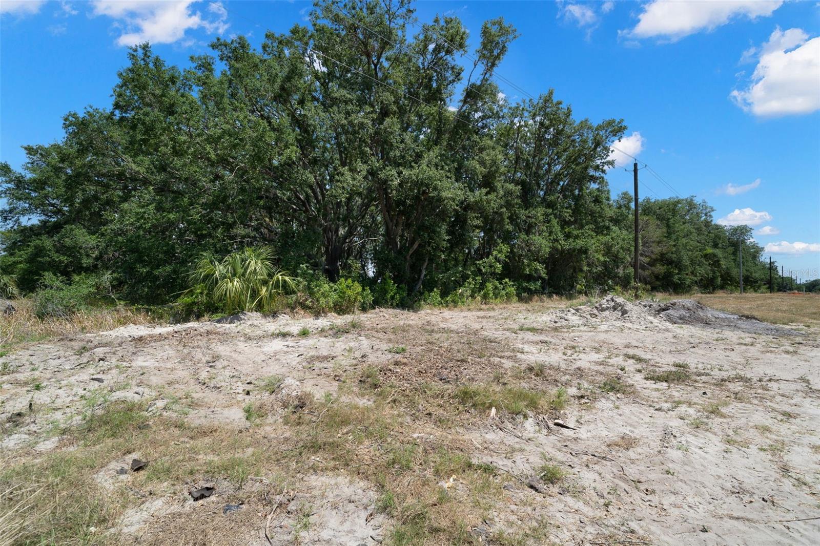 Image 6 of 14 For Rhodine Road