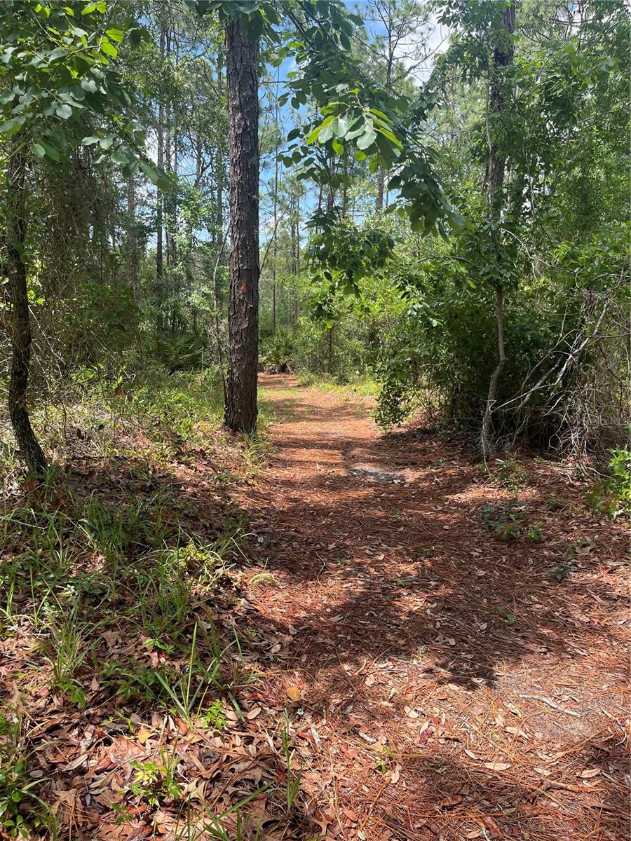 Details for 5419 Firethorn Point, SPRING HILL, FL 34609