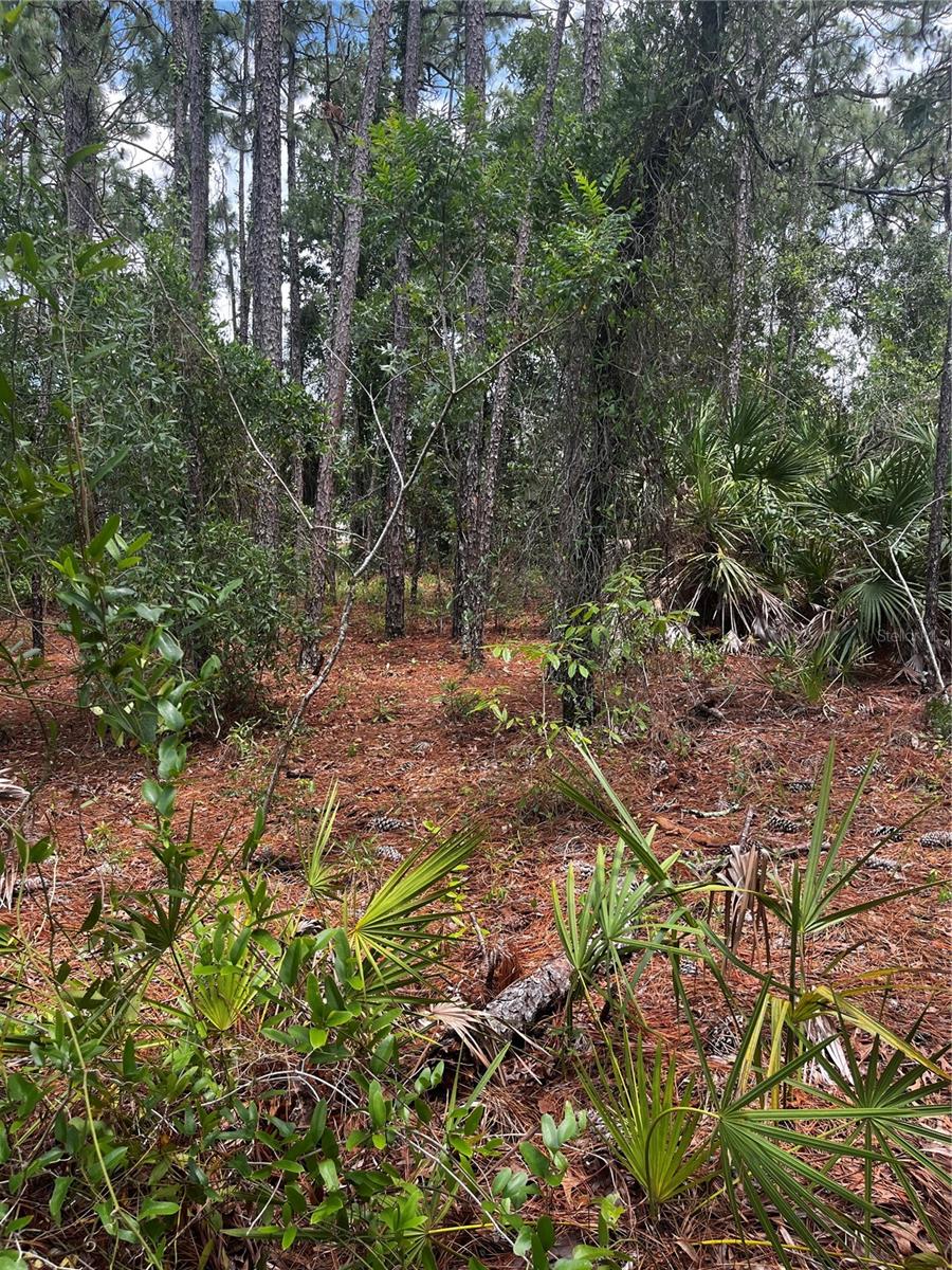 Image 10 of 10 For 5419 Firethorn Point