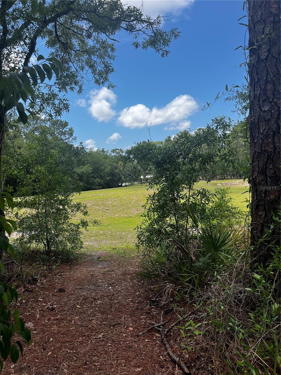 Image 2 of 10 For 5419 Firethorn Point