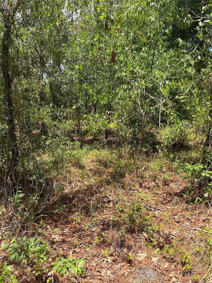 Image 3 of 10 For 5419 Firethorn Point