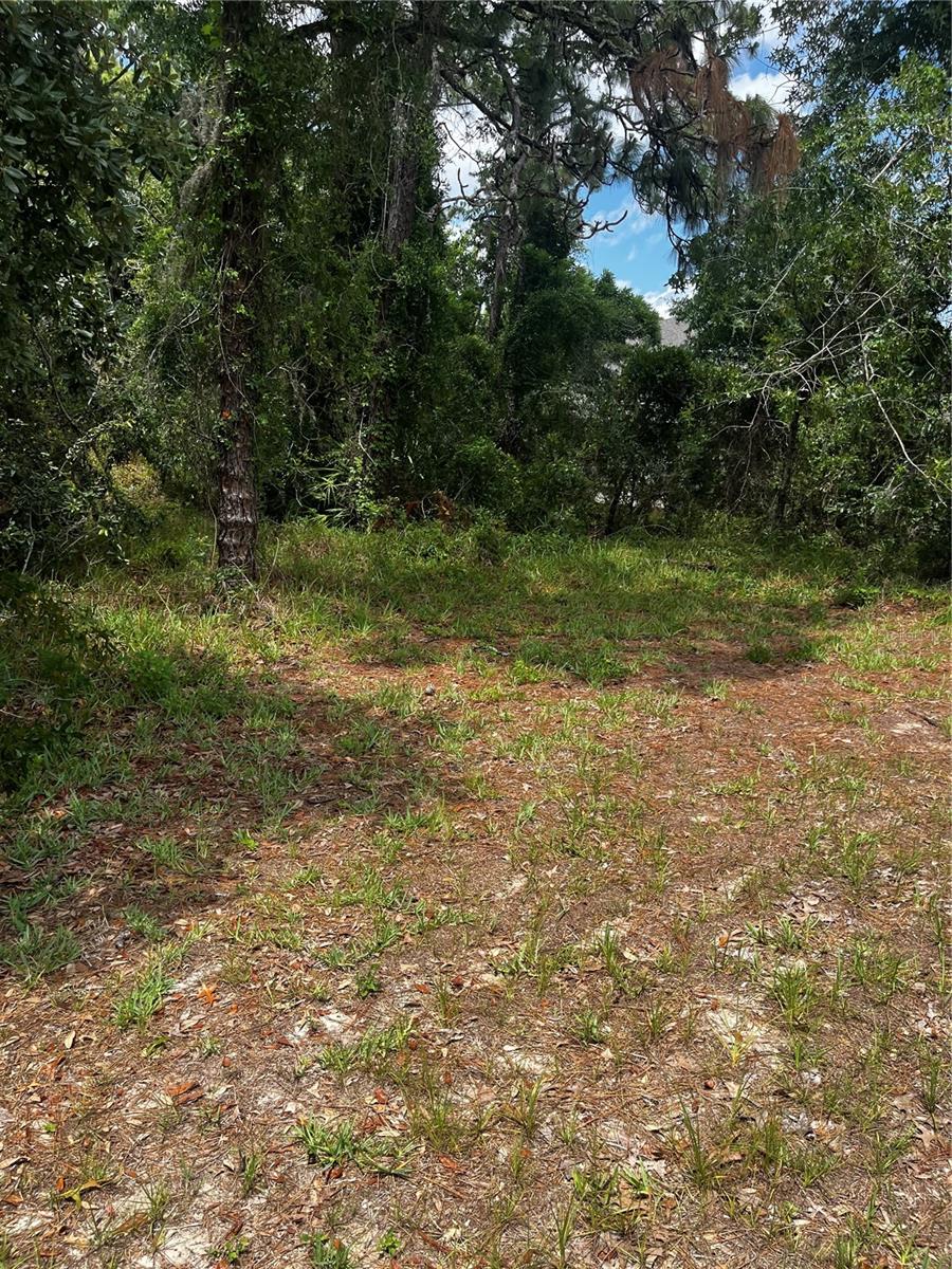 Image 7 of 10 For 5419 Firethorn Point