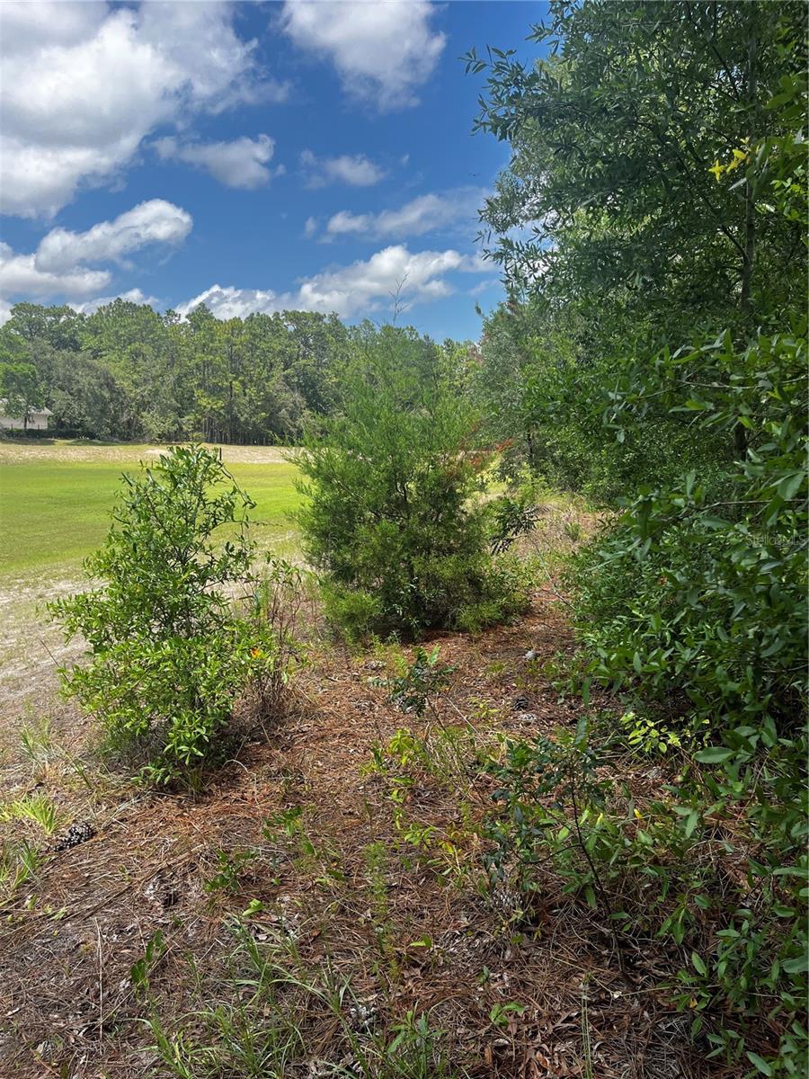Image 9 of 10 For 5419 Firethorn Point