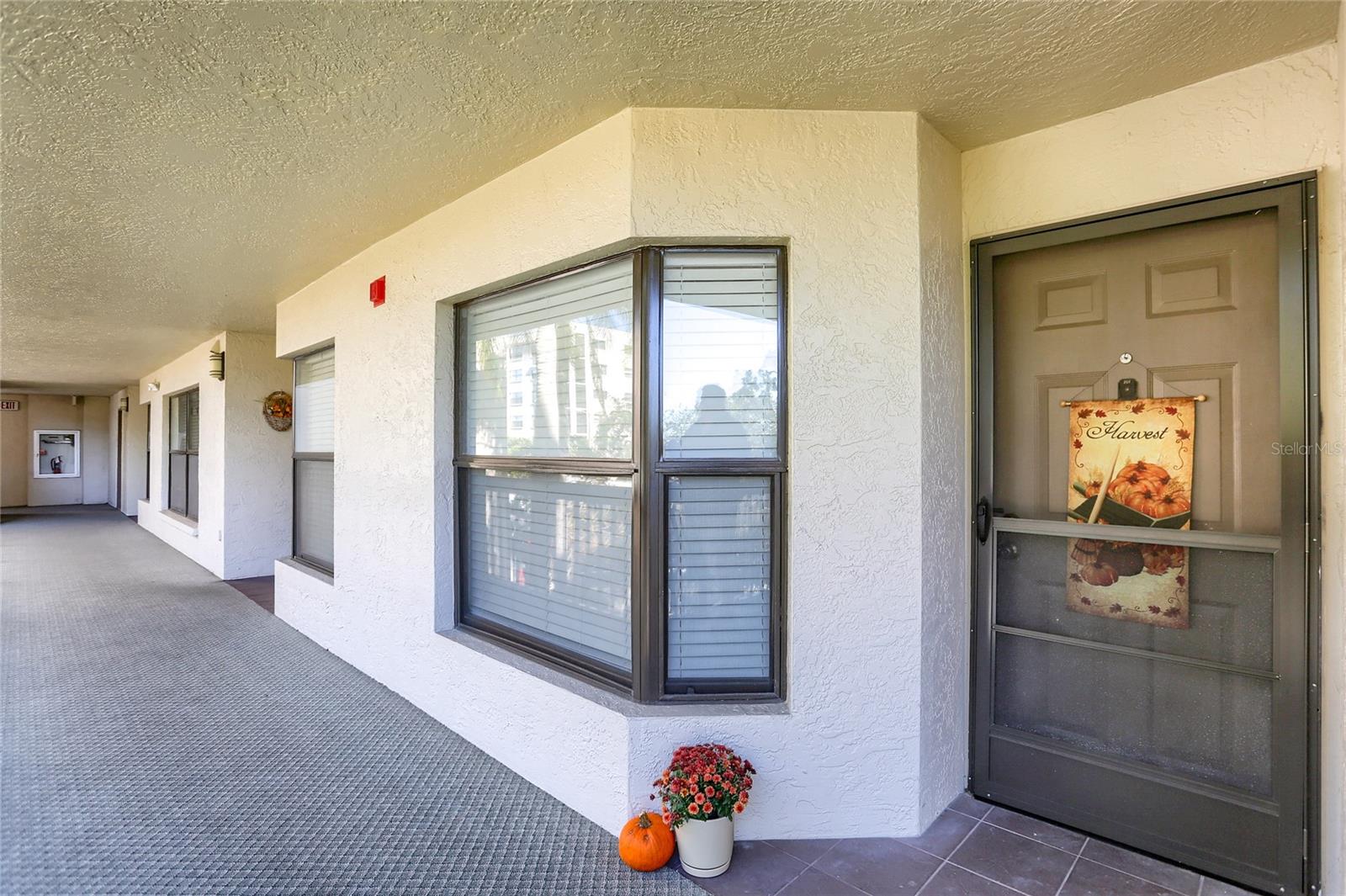 Image 2 of 29 For 1328 Pasadena Avenue S 207