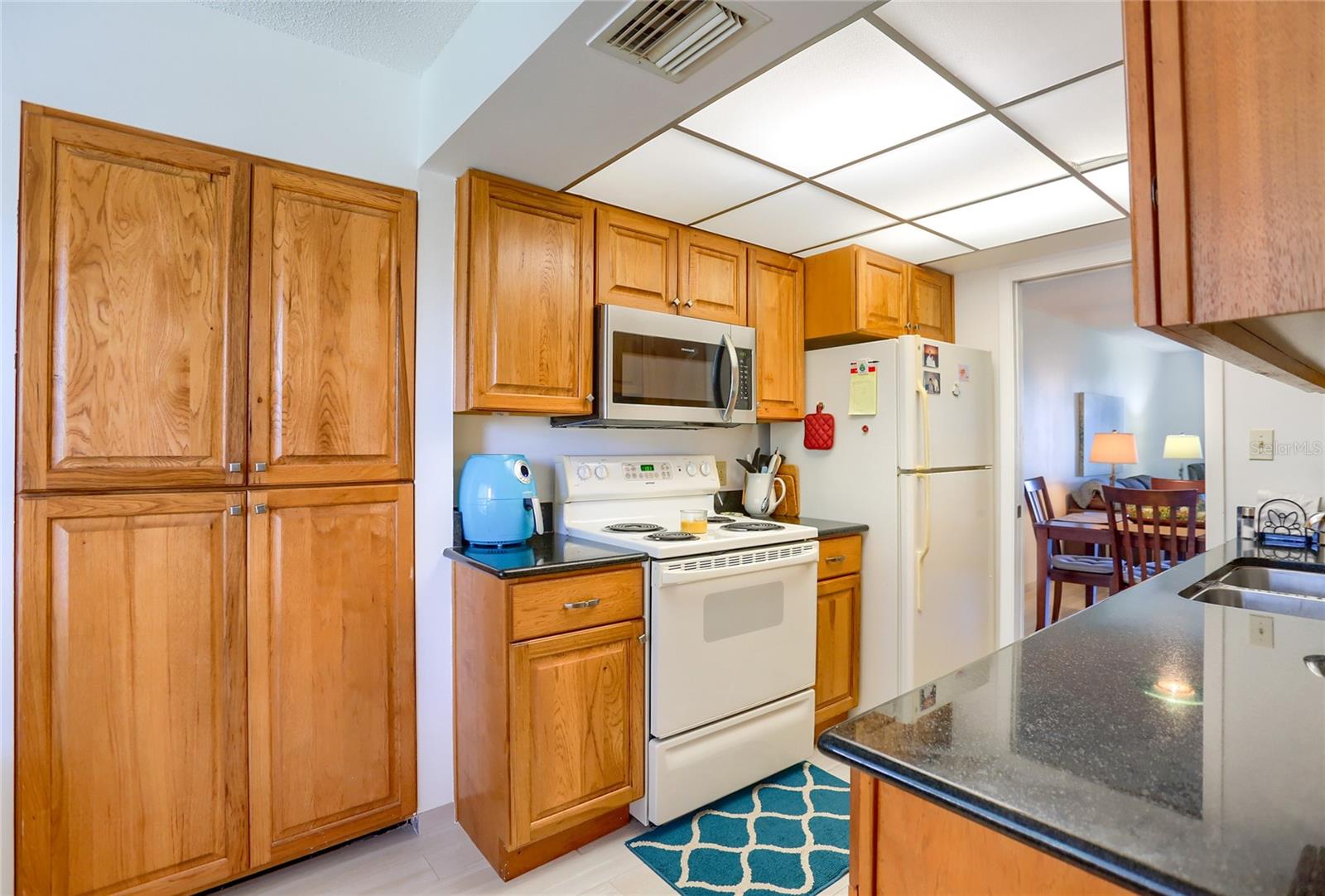 Image 8 of 29 For 1328 Pasadena Avenue S 207