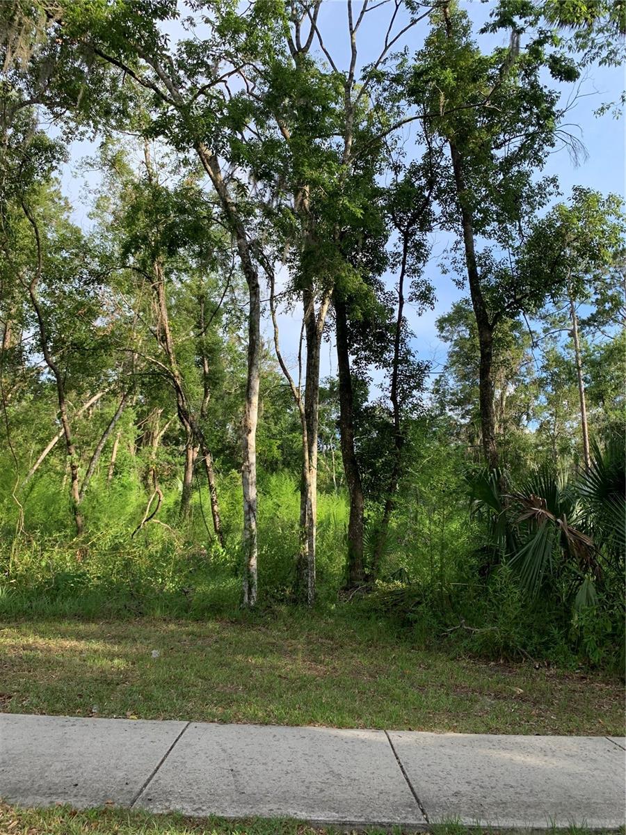 Listing Details for 625 Dr M L King Jr Boulevard, BROOKSVILLE, FL 34601