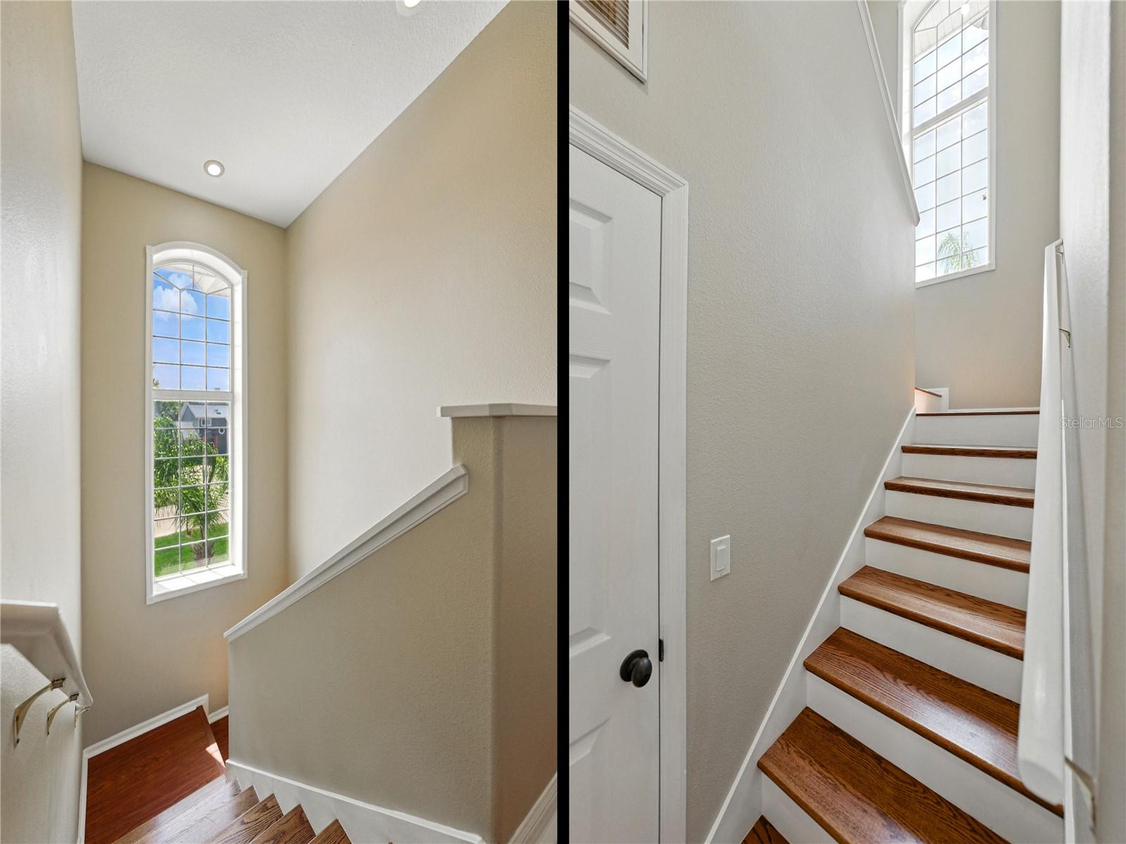 Listing photo id 40 for 5260 Stetson Point Drive