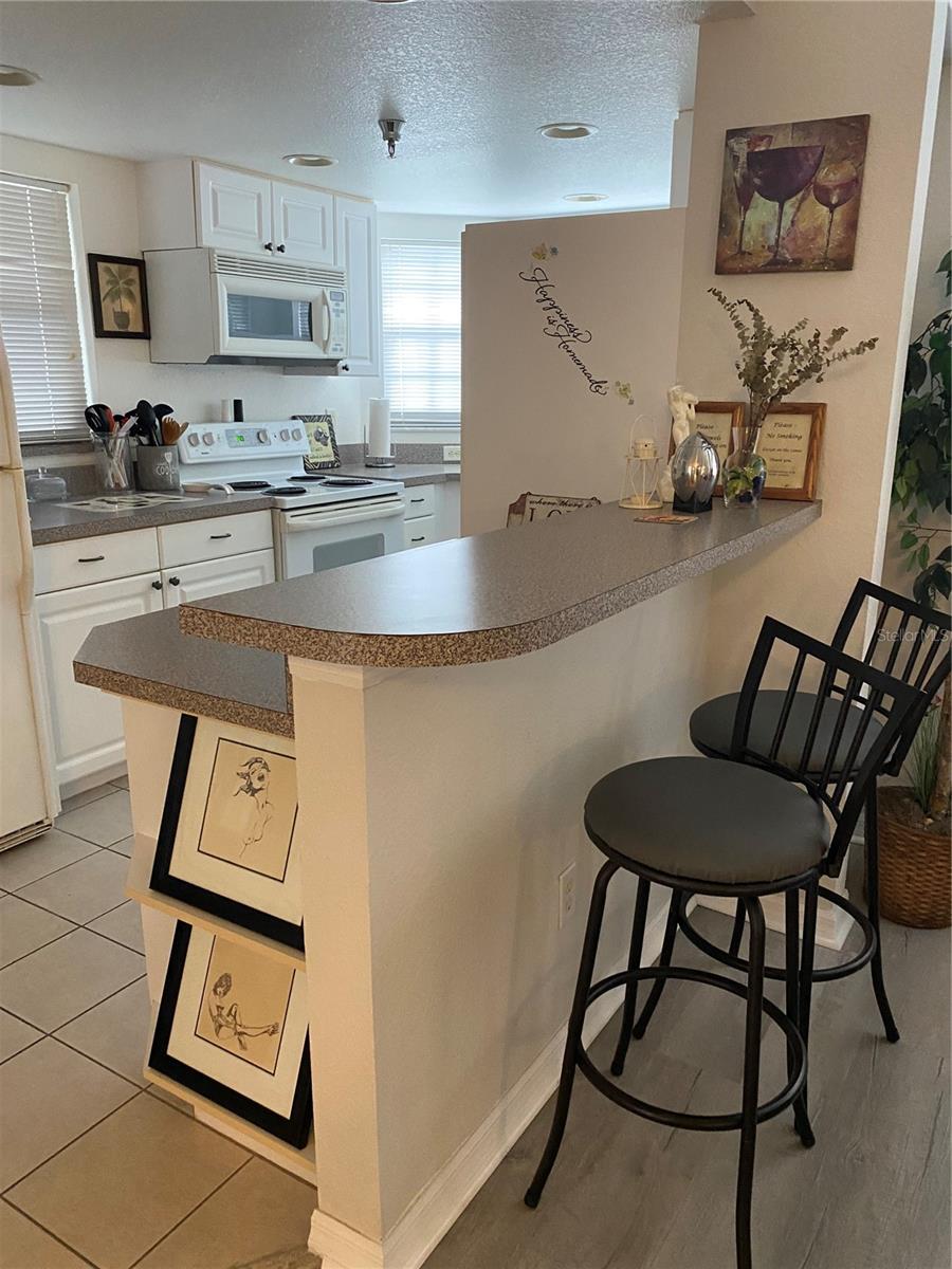 Image 3 of 7 For 21146 Fountain View Lane 4202