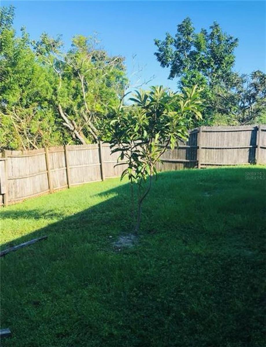 Image 20 of 20 For 10327 Oleander Drive