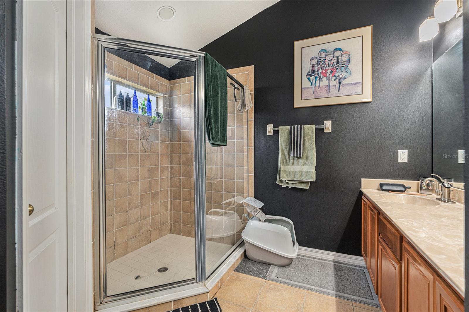 Image 12 of 18 For 8217 Canterbury Lake Boulevard