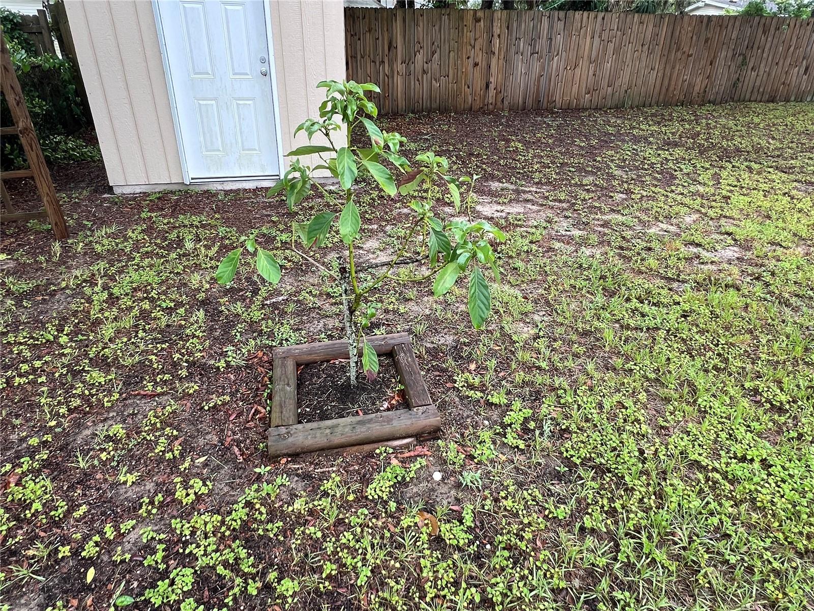 Image 21 of 22 For 12426 Terra Ceia Avenue