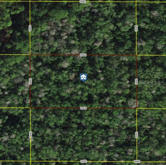 Image 2 of 3 For Tall Pine Road