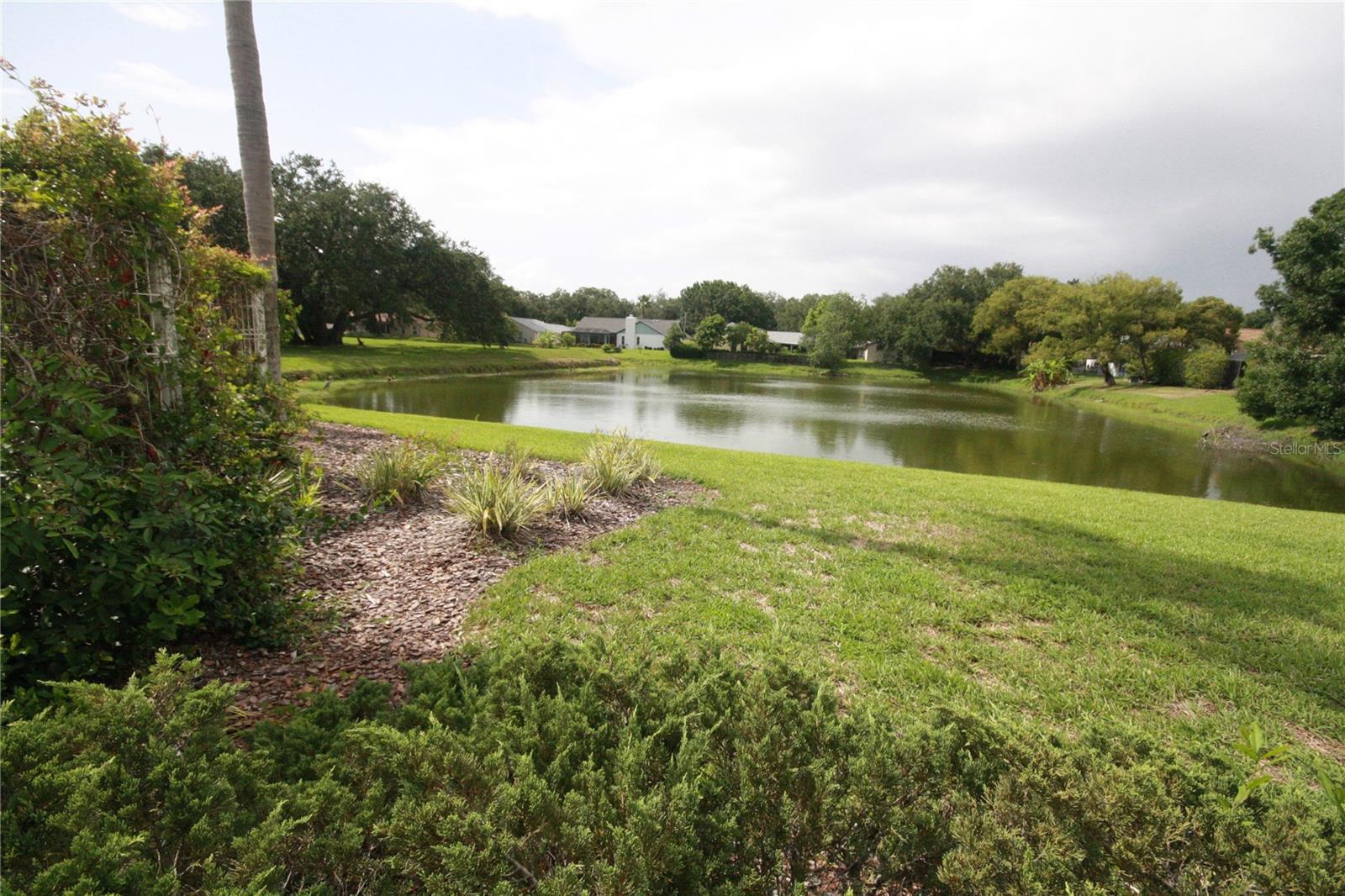 Image 6 of 17 For 10402 Ashley Oaks Drive